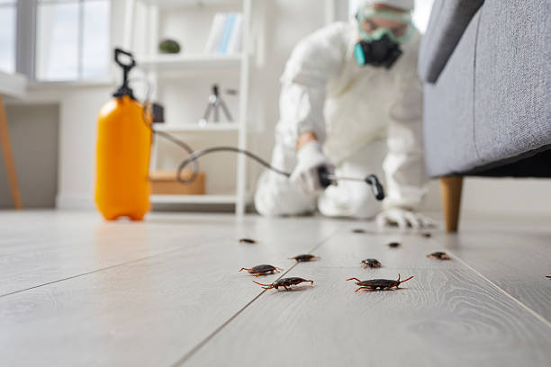 Trusted Cockroach Control service in Union Hill-Novelty Hill, WA - Nex Pest Control